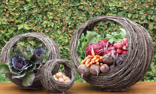 August Grove Set of 3 Wall Baskets