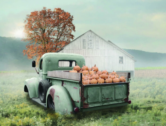 Andover Mills ‘Pumpkin Patch’ Canvas Print